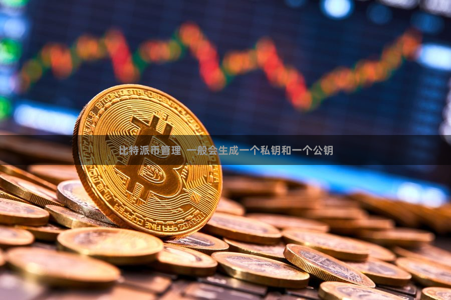 比特派币管理  一般会生成一个私钥和一个公钥